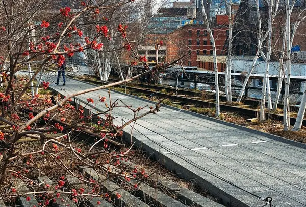 The Highline West Village