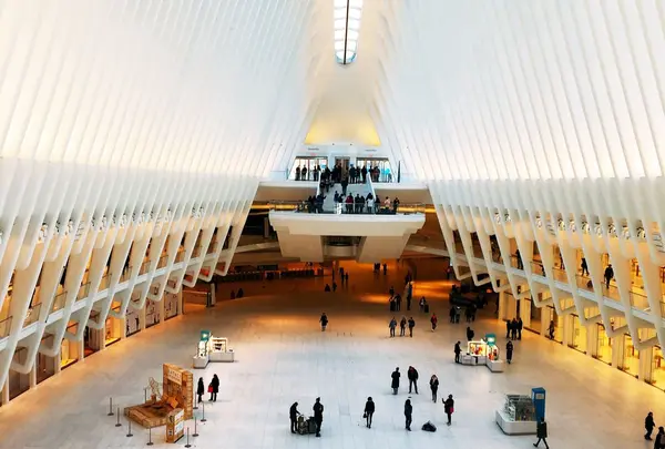 The oculus