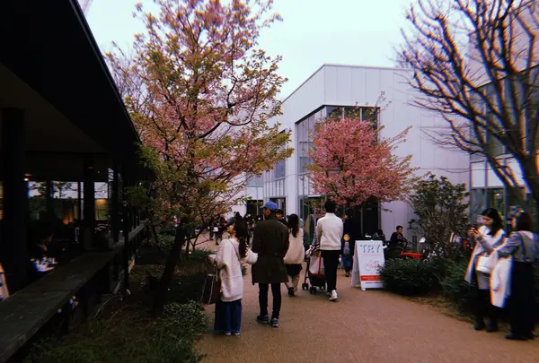 代官山 蔦屋書店(TSUTAYA)