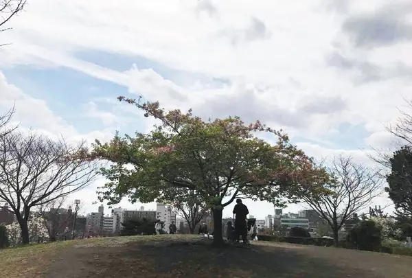 西郷山公園