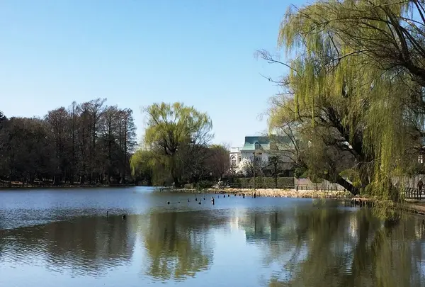 石神井公園