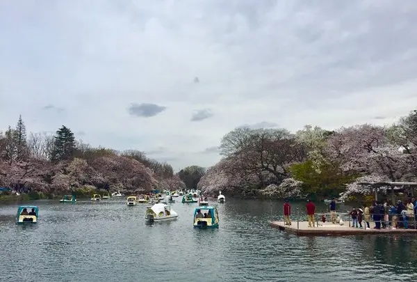 井の頭自然文化園の写真・動画_image_306494