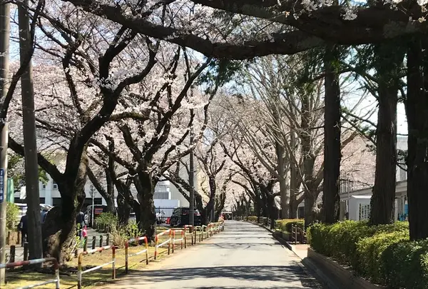 市川市 スポーツセンター
