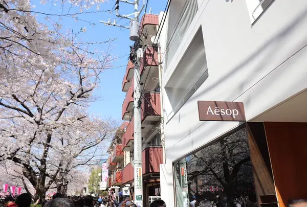 イソップ 東京店