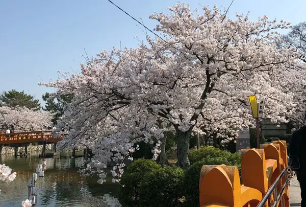 九華公園(桑名城趾)
