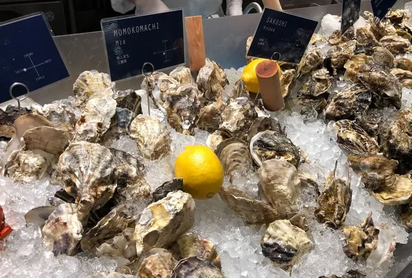 BOSTON OYSTER&CRAB（ボストン オイスター＆クラブ）
