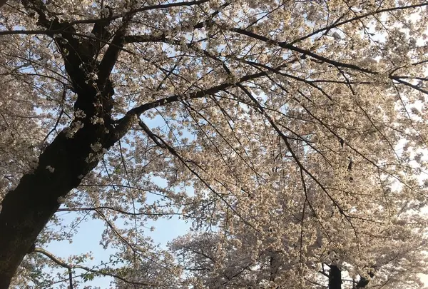 井の頭自然文化園の写真・動画_image_307904