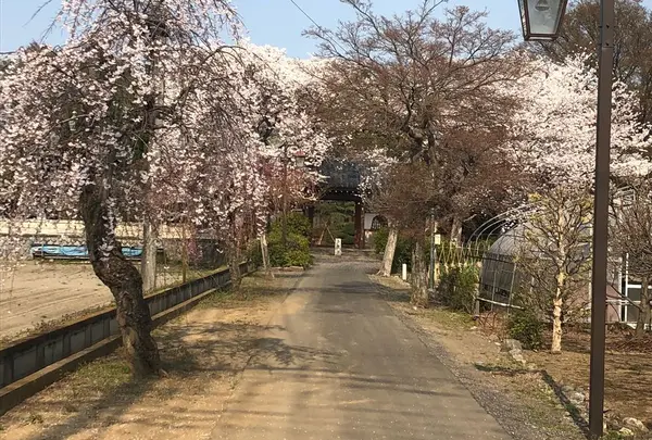 埼玉狭山市信立寺