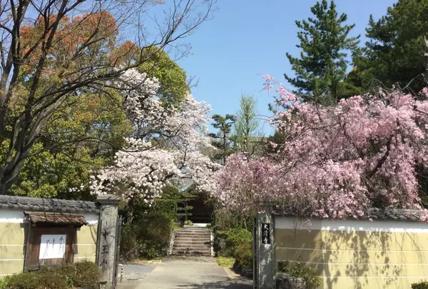 太清寺