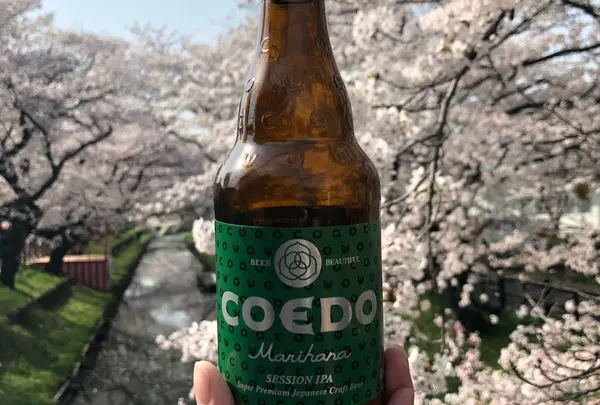 新河岸川