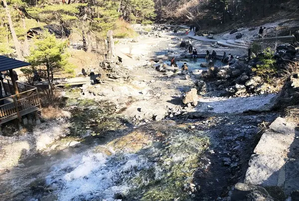 西の河原公園の写真・動画_image_308299