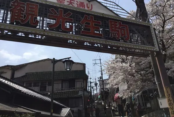 宝山寺の写真・動画_image_308497