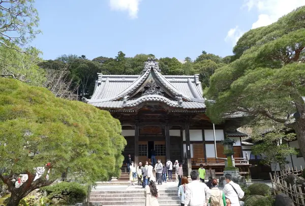 修善寺の写真・動画_image_308745