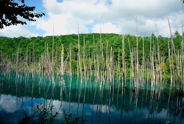 青い池
