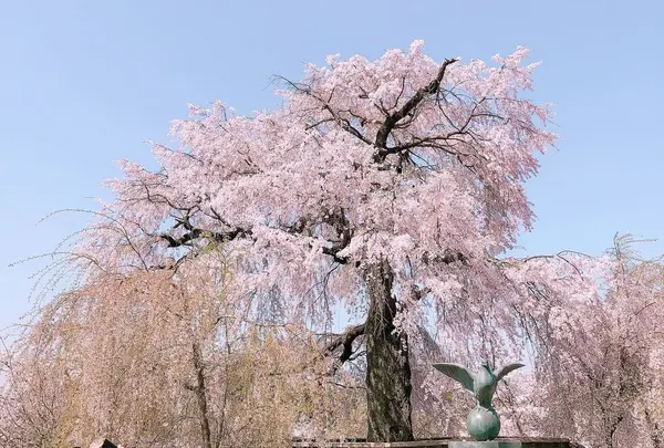円山公園