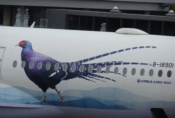 関西空港立体駐車場