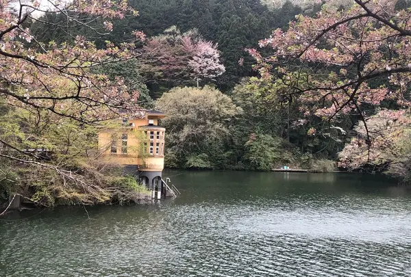 鎌北湖