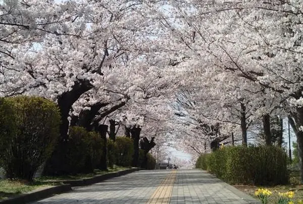 城山公園