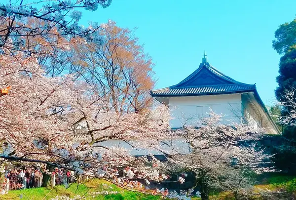江戸城
