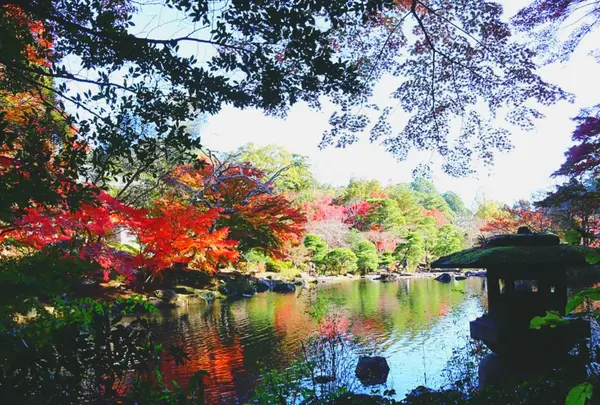 成田山公園の写真・動画_image_310283