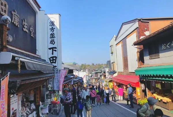 成田（成田山表参道）の写真・動画_image_310297