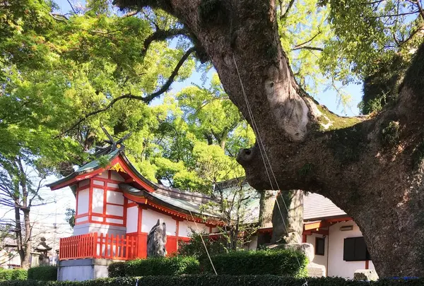 佐賀県護国神社