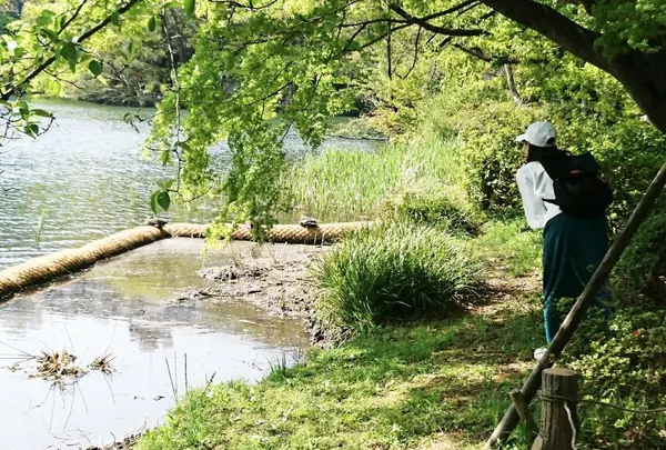 井の頭恩賜公園