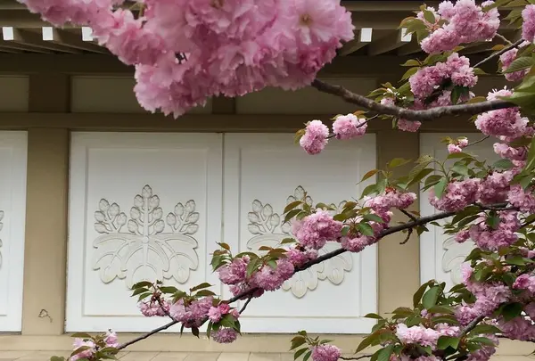 醍醐寺