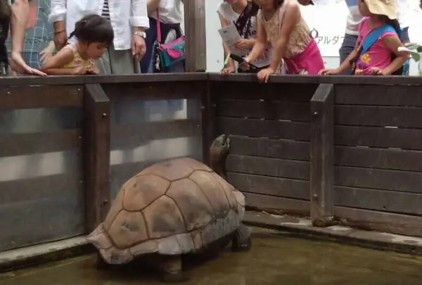 アクア・トトぎふの写真・動画_image_313095