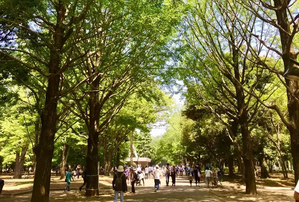 光が丘公園