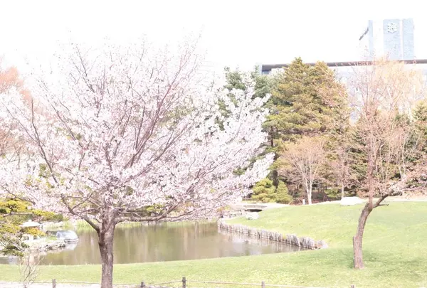 中島公園
