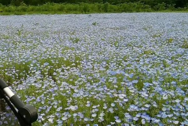 富田さとにわ耕園