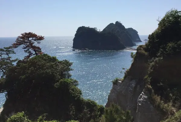 堂ケ島の写真・動画_image_314452