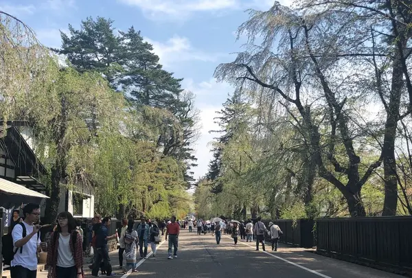 角館武家屋敷通り