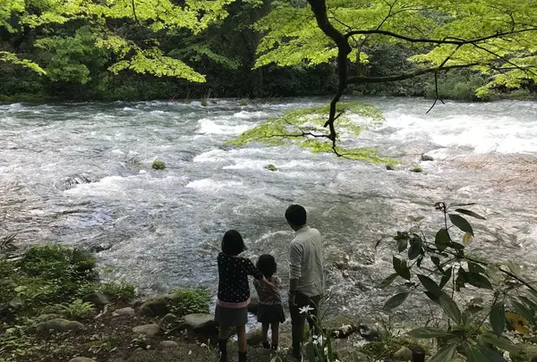 鶴仙渓