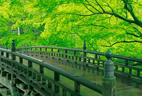 こおろぎ橋