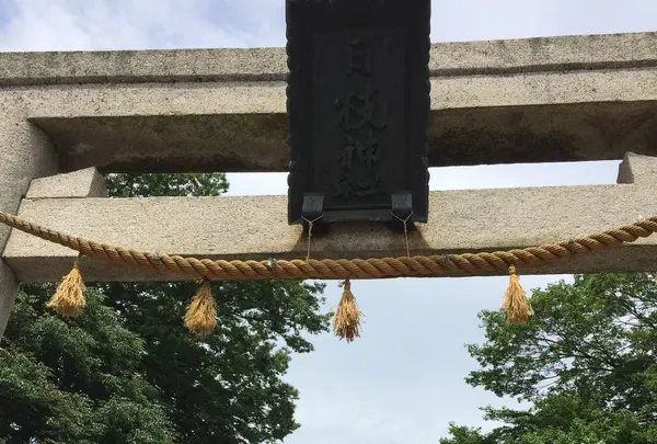 小仙波町１丁目４−１の写真・動画_image_316385