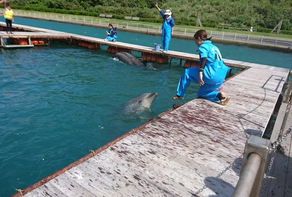 かつもとイルカパーク