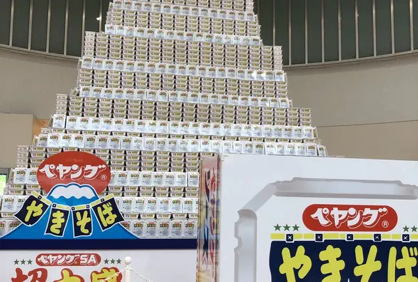 EXPASA足柄 (下り)