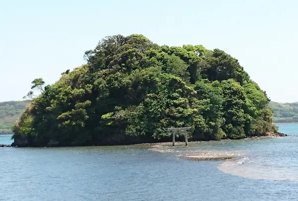 小島神社の写真・動画_image_317016