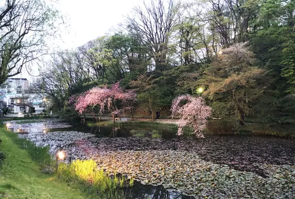 千秋公園