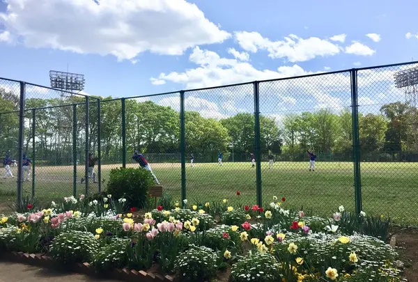 城北中央公園