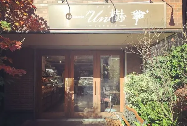 Patisserie Un樹の写真・動画_image_317701