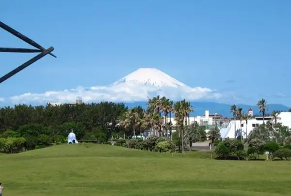 神奈川県立辻堂海浜公園