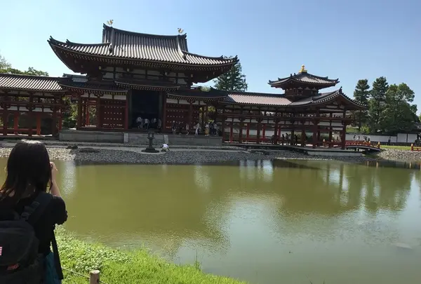 平等院鳳凰堂の写真・動画_image_318217