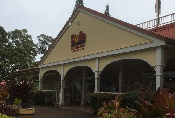 Dole Plantation