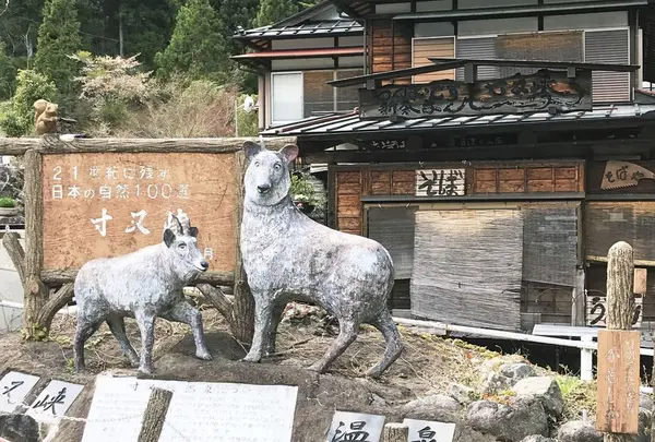 寸又峡温泉の写真・動画_image_318878