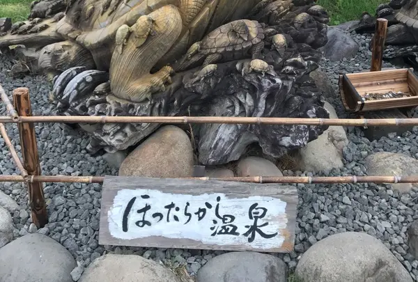 ほったらかし温泉