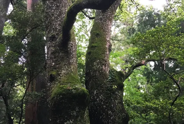 伊勢神宮