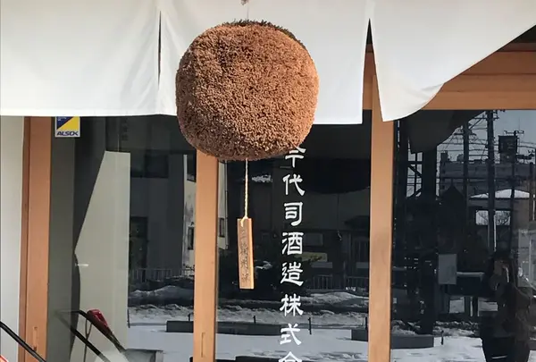 今代司酒造の写真・動画_image_319455